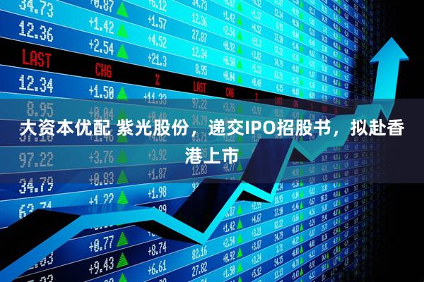 大资本优配 紫光股份，递交IPO招股书，拟赴香港上市