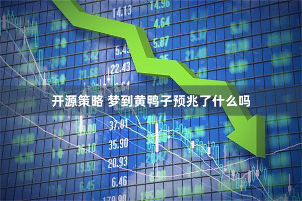 开源策略 梦到黄鸭子预兆了什么吗