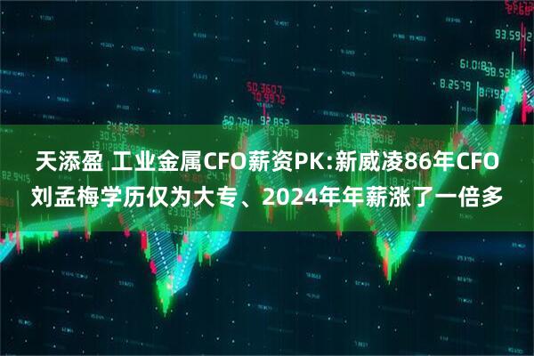 天添盈 工业金属CFO薪资PK:新威凌86年CFO刘孟梅学历仅为大专、2024年年薪涨了一倍多