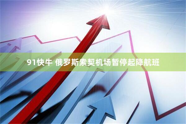 91快牛 俄罗斯索契机场暂停起降航班
