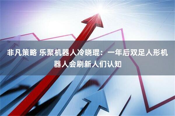 非凡策略 乐聚机器人冷晓琨：一年后双足人形机器人会刷新人们认知