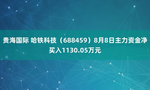 贵海国际 哈铁科技（688459）8月8日主力资金净买入1130.05万元