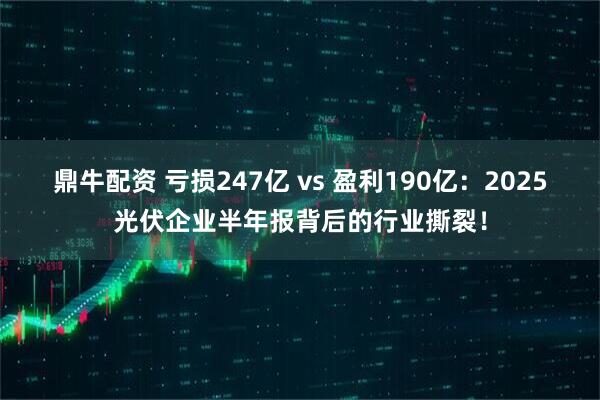 鼎牛配资 亏损247亿 vs 盈利190亿：2025光伏企业半年报背后的行业撕裂！