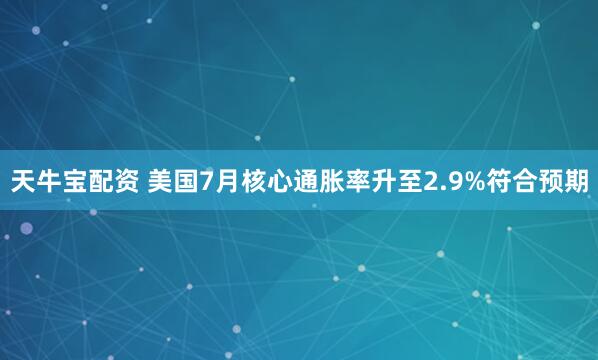 天牛宝配资 美国7月核心通胀率升至2.9%符合预期
