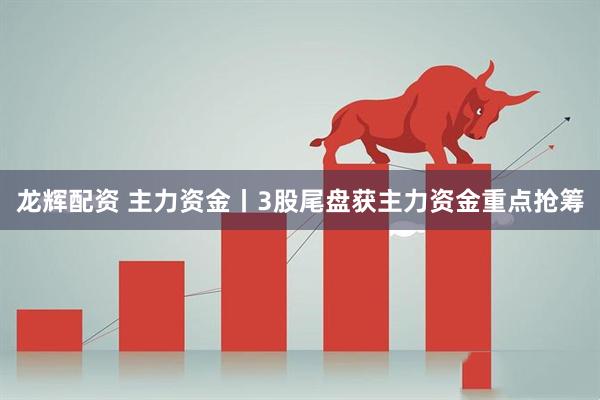 龙辉配资 主力资金丨3股尾盘获主力资金重点抢筹